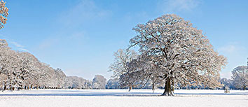 英格兰探哥斯达运球瑞士连胜
